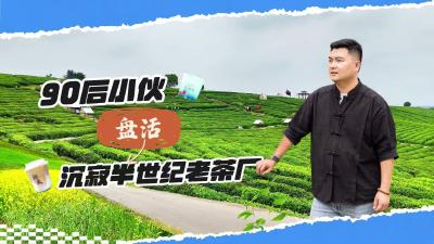 扎根网谷 90后小伙盘活沉寂半世纪老茶厂，缔造茶旅新名片。