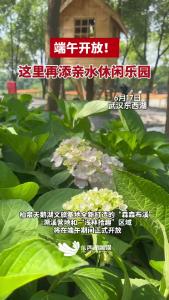 柏泉天鹅湖「森森布溪」溯溪营地、「浅林拾趣」区域全新上线。