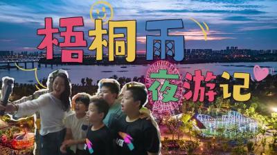 梧桐雨夜游记