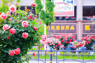 汉口北用色彩打开夏天，哪一抹最让你心动？