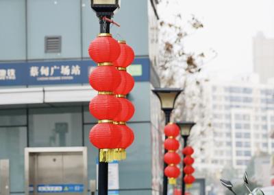 挂灯笼迎新春 蔡甸街头年味浓