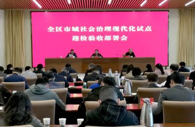 蔡甸区召开市域社会治理现代化试点迎检验收工作部署会