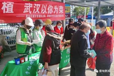  武汉以我为荣丨蔡甸：烟头换绿植 共建绿美家园