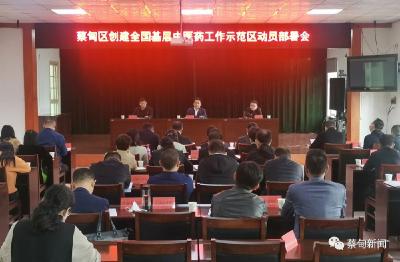 蔡甸区启动全国基层中医药工作示范区创建