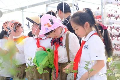  回归田园 蔡甸学子开启春日研学之旅