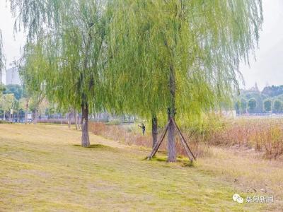 野在家门口，蔡甸首批共享城市绿地来了 