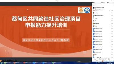 赋能基层治理创新 蔡甸区开展社区治理项目申报能力提升培训