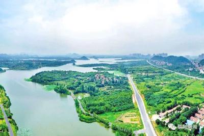 蔡甸：多措并举打好“主动仗” 全力筑牢防汛“安全网”