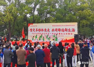 蔡甸：文艺汇演进社区 文化惠民入心田