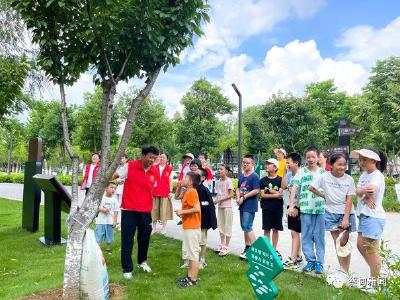 蔡甸：暑期防溺水 安全“不放假”