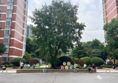 牵手“爱心敲门团”解决群众身边事 蔡甸暖心物业传递“红色能量”
