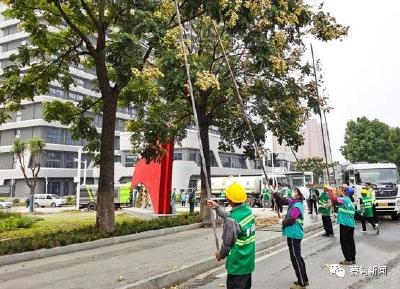 未雨绸缪保畅通 蔡甸区开展树木融雪防冻应急演练