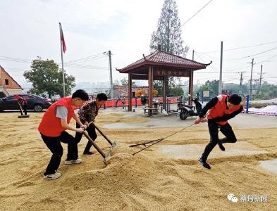 政法先锋进村湾 精准服务“零距离”