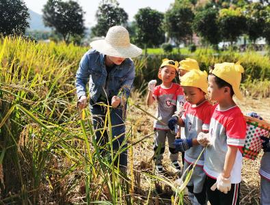 蔡甸：萌娃体验农事乐 田间研学乐趣多