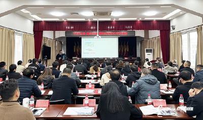  蔡甸：行业交流会互助共进 助推采购工作提质增效 