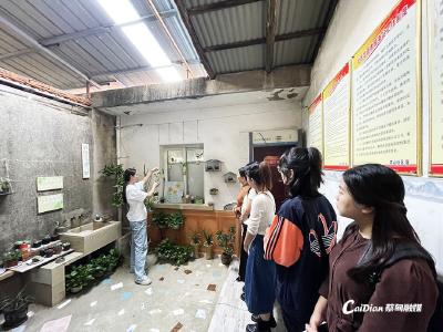 自然融入生活 蔡甸区将居民后院变“花园”