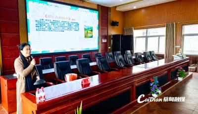  传递向光而行 著名作家为蔡甸学子深情讲述“单师学校”