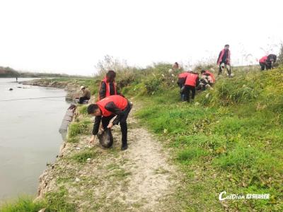 蔡甸消泗乡：“人大代表+河（湖）长制” 共护河湖美