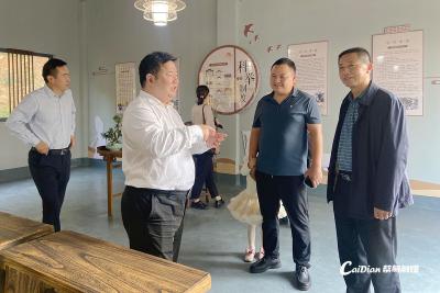 蔡甸区人大常委会调研知音童谷建设情况
