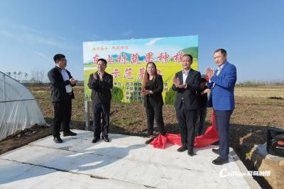 共同缔造结硕果 蔡甸区侏儒山街道东山村蔬果种植示范基地揭牌