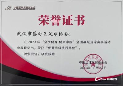 点赞！蔡甸区足球协会荣获全国县域足球赛事“优秀县级执行单位”