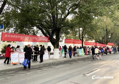 蔡甸区开展“法治蔡甸 你我共建”暨“12·4”宪法宣传日系列宣传活动