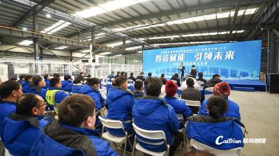 “甸”定未来 | 全球首条建筑幕墙智能机加工无人化生产示范线在中法生态城正式投产