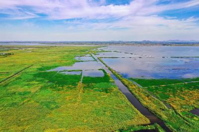  沉湖国际重要湿地获评“湖北省科普教育基地”