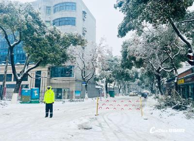 蔡甸：部门联动 冒雪抢修保供电