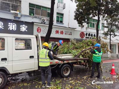 未雨绸缪 蔡甸园林全力应对新一轮雨雪冰冻天气