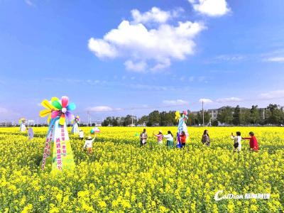 万亩油菜花开 游客踏青赏花忙