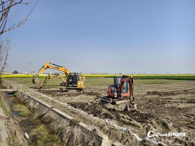 2024年蔡甸区中央投资高标准农田建设项目开工 奏响春耕序曲