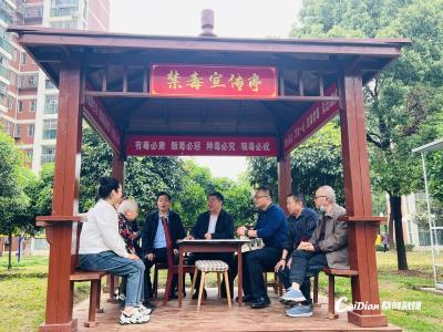 蔡甸区人大常委会集中视察全区禁毒工作