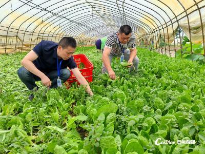 蔡甸区加强端午节前食品安全检测