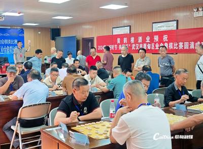 端午棋逢对手 蔡甸区业余象棋比赛“棋”乐无穷