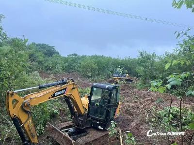 武汉供电清理跨林场输电通道 打造电力安全“绿色走廊”