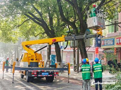 蔡甸：修剪树枝除隐患 为民解忧提升城市颜值