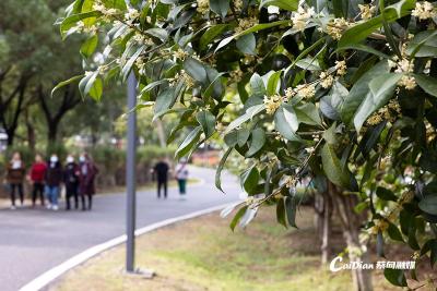 大雨、暴雨即将来袭，蔡甸人注意防范！