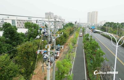 蔡甸奓山电网升级 居民企业用电更可靠 