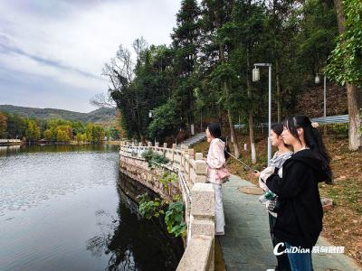 百名学子游蔡甸，直播助文旅