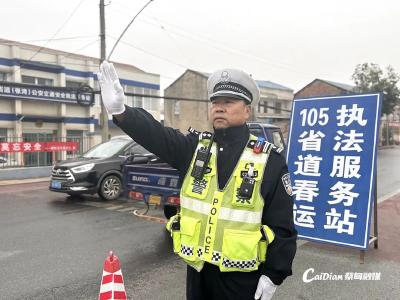 新春走基层 | 蔡甸交警护航春运平安路