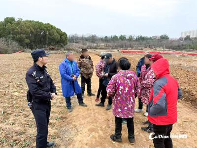 牛群 “祸祸” 庄稼地起纠纷 蔡甸民警巧调解化干戈