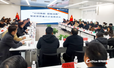 蔡甸政企共话智能家居产业消费升级
