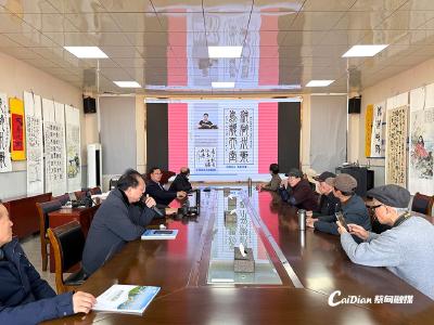 聚焦沉湖湿地，共探水韵文化 蔡甸这场研讨会为文化建设注入新活力