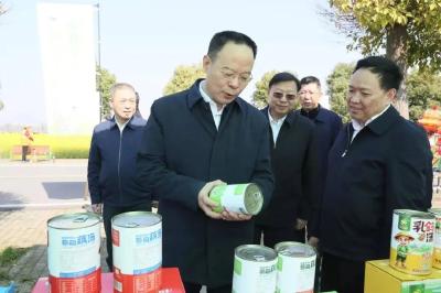 孙伟在武汉调研时强调：持续擦亮知音文旅品牌 整体提升支点建设文化影响力