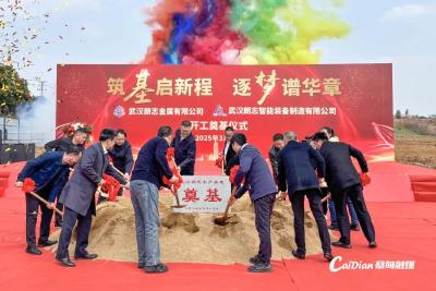 开工！蔡甸新材料产业再添“硬核”成员