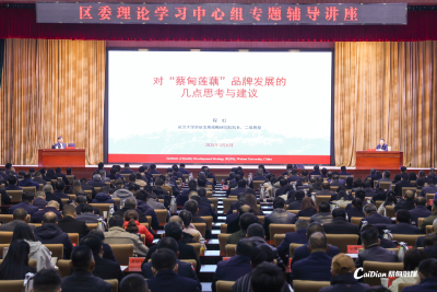 持续做优做强“蔡甸莲藕”品牌 蔡甸区委理论学习中心组举行专题讲座