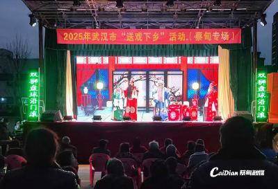 文化润乡情 蔡甸楚剧团送戏进张湾