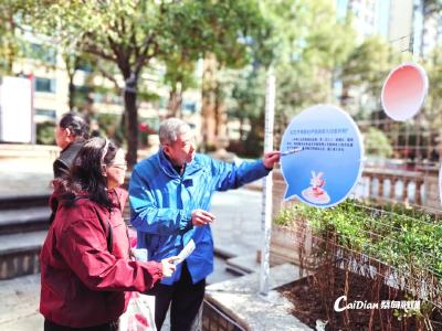 蔡甸这个社区法治广场激活共治新活力