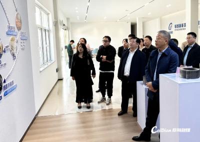 人大代表“三进”聚焦蔡甸新能源产业链高质量发展